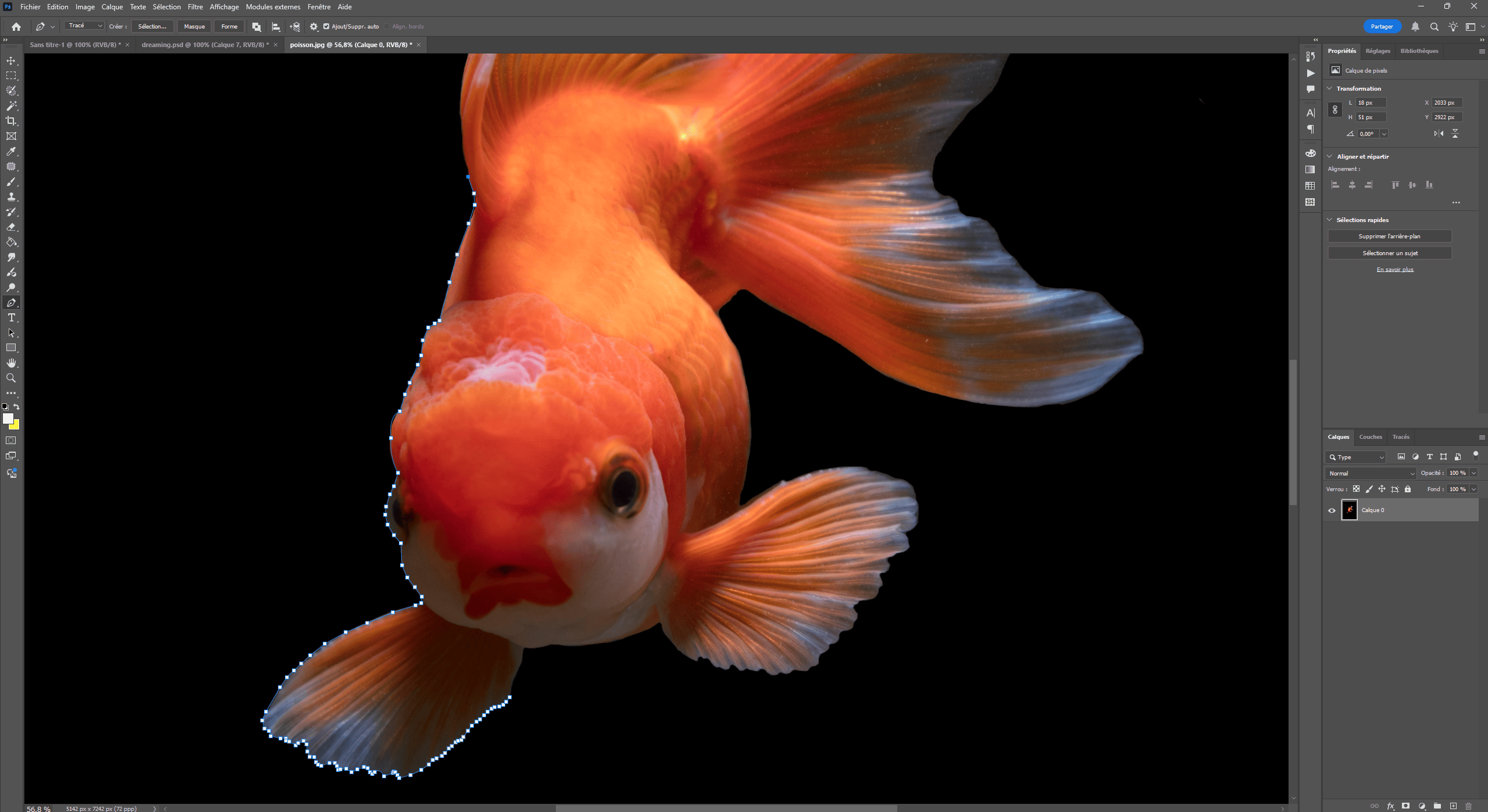 Étape de détourage